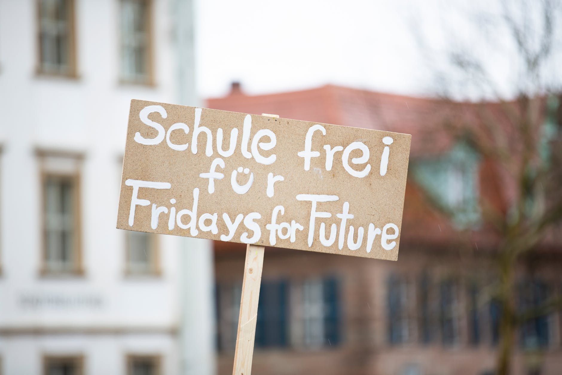 Fridays for future